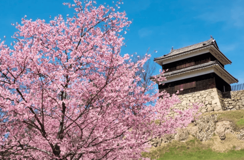 長野賞櫻景點｜3. 上田城跡公園